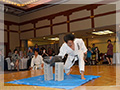 Japanese event KARATE performer