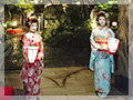 Japanese event Japanese theme event KOMONO lady