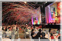 Japanese event Japanese theme event